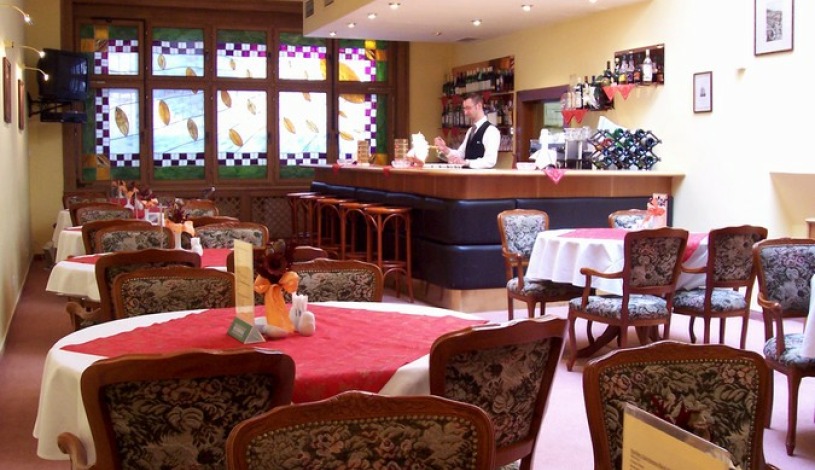 HOTEL SPA SMETANA - VYŠEHRAD Karlovy Vary